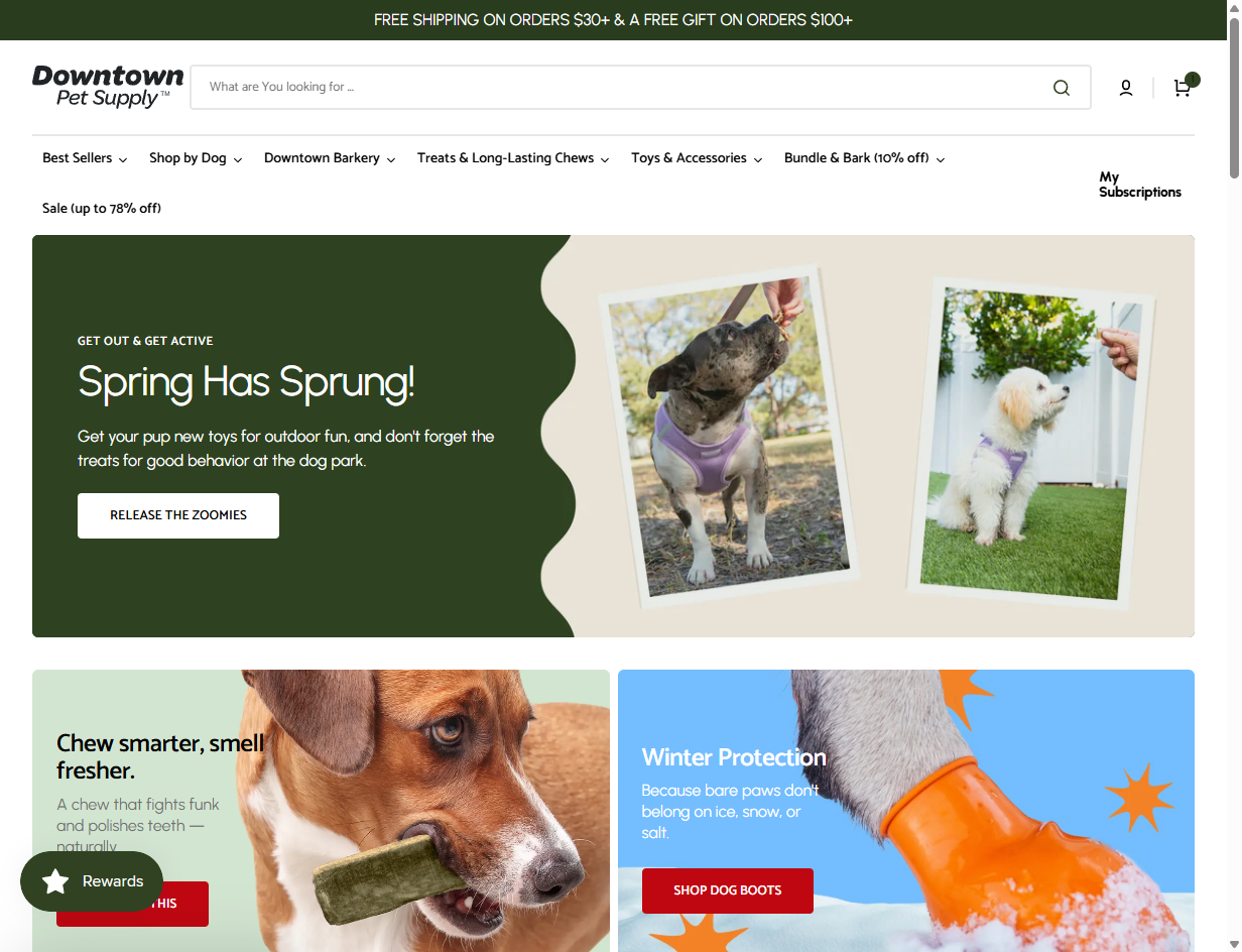 Downtown Pet Supply